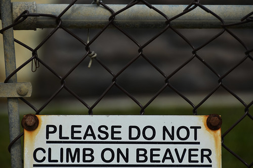 summer canada sign june climb do please beaver alberta on 6月 2015 六月 カナダ not minazuki 水無月 アルバータ州 rokugatsu monthofwater 平成27年