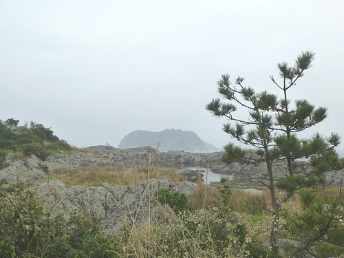 Co-Jejudo-Seogwipo-Port-Saeseom (28)