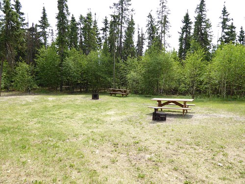 camping trees canada table alberta campground firepit campsite northbucklake