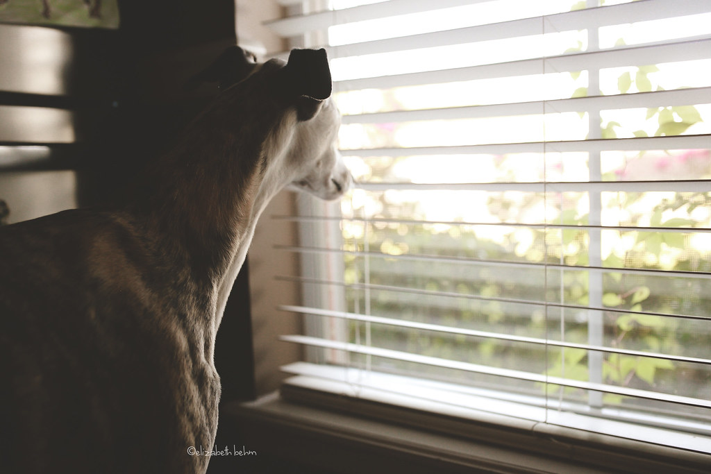blog328