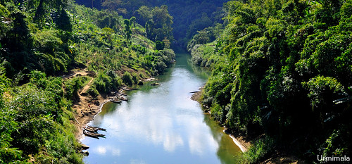 river water forest mountains mizoram india