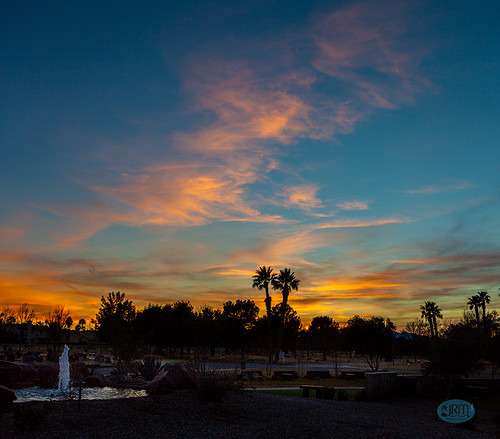 sunset paradise lasvegas silhouette palmeastern