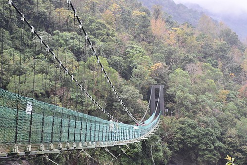 瓦拉米步道-山風吊橋