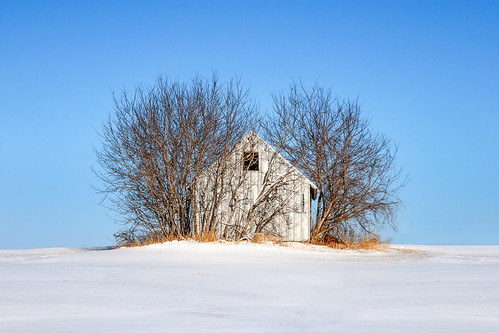 christmas blue winter light sky snow cold tree classic beautiful field wisconsin season landscape outdoors design farm fineart shed clear vision february agriculture wi stockphoto artistry winterlandscape stockphotography royaltyfree agritourism ruralscene rightsmanaged ruralwisconsin winterinwisconsin toddklassy
