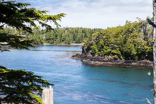 canada bc vancouverisland ucluelet wildpacifictrail