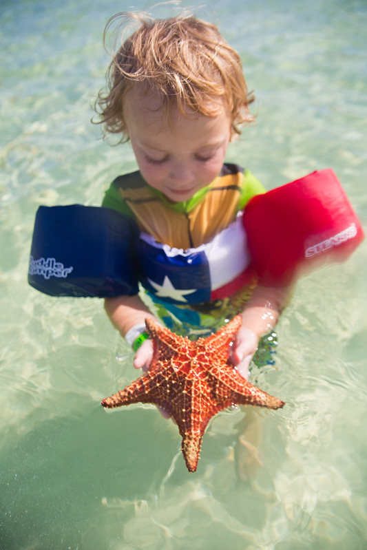 Visiting Starfish Point in Grand Cayman