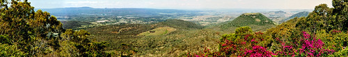 flowers 1995 tabletop panorama hill 90s jeffc aussiejeff mountain tree qld queensland toowoomba australia