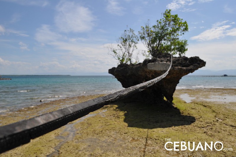 south of cebu tourist spots