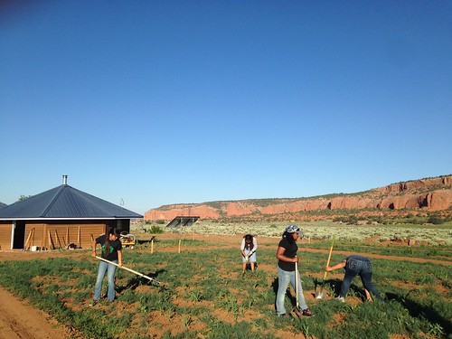2015 Safeguarding Natural Heritage Diné College summer youth students