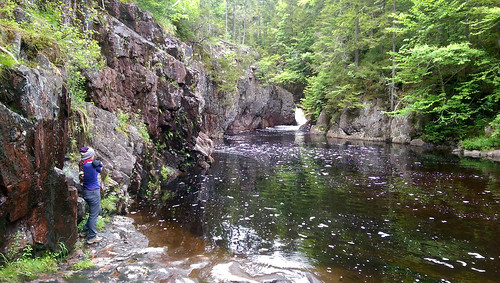water river high woods novascotia hike falls waterfalls cumberland cumberlandcounty mooseriverfalls