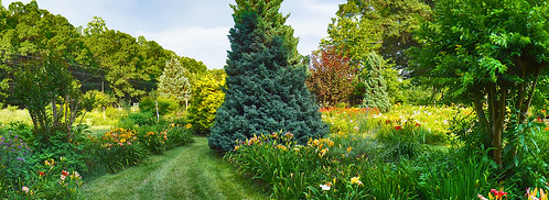 flowers plant flower gardens garden virginia farm va daylilies flowerbeds inthegarden carolinecounty willowoaks