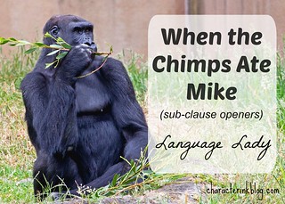 When the Chimps Ate Mike - Subclause Openers