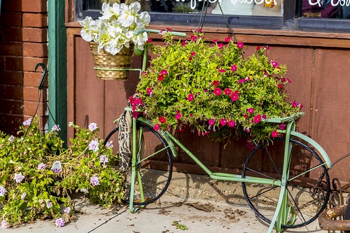 oklahoma planter bicycleplanter