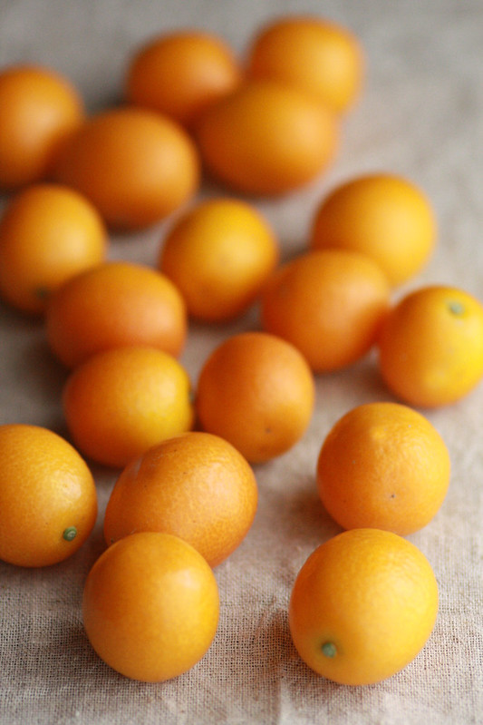 Kumquat(Tama Tama)