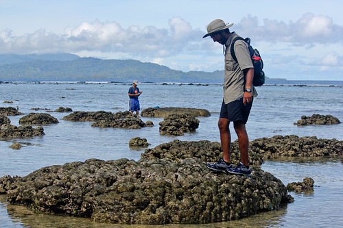 第一作者德州大學奧斯汀分校博士班學生Kau Thirumalai與佛烈德泰勒教授勘查雷諾加島上的小環礁珊瑚。（圖片來源：科技部提供）