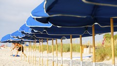 Sunrise Umbrellas on Hilton Head Island, SC