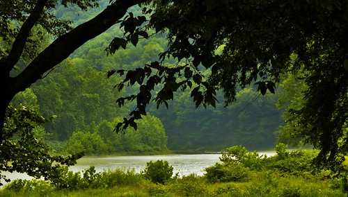 colorfulworld world of green delaware river east branch ny newyork downstream summer july