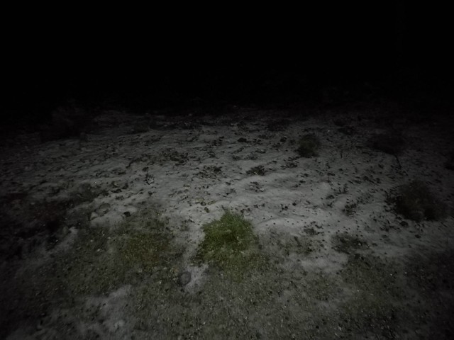 Φωτογραφίες από τον χιονισμένο Κουτρούβαλο απόψε το βράδυ στην Ψίνθο !
