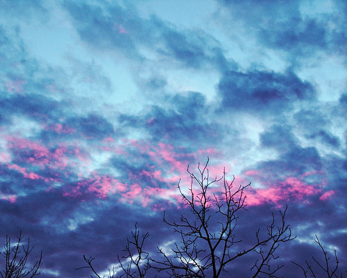 pink blue sunset sky tree nature silhouette clouds 1025fav branches 100v10f
