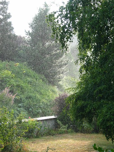 nature rain