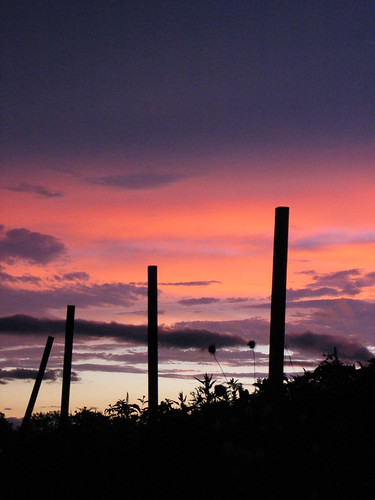 sunset colors silhouette canon amazing farm pa s410 martinscreek