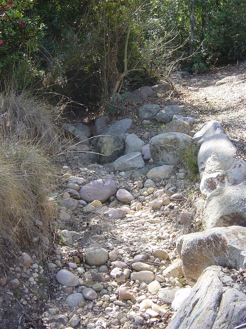 Dry stream bed