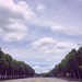 #Instagram #instaplace #instastill #Korea #Seoul #city #landscape #road #tree #cloud #blue #sky #서울 #푸른 #하늘 마냥~ 달리고 싶은 #풍경 ^^