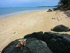 Small Beach on Hog Island