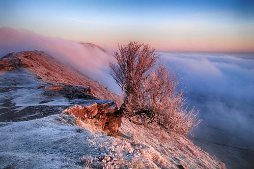 blackhill ridge dawn morning hill hillside tree frost cold frosty cloud mist fog landscape nature natural scenic scenery outside outdoor herefordshire blackmountains