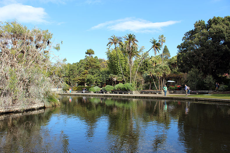Royal Botanic Gardens, Sydney