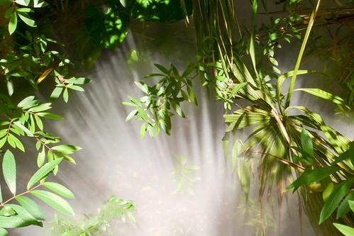 mrieder markusrieder nikon vacation urlaub fotoreise phototrip usa 2015 usa2015 florida sunshinestate sonnenscheinstaat zoo miami landscape plants landschaft blüten blumen flowers