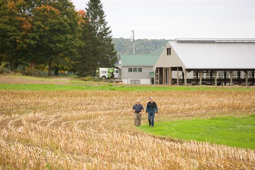 Producers surveying a field in the Northeast