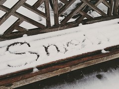 Snow on the Bench