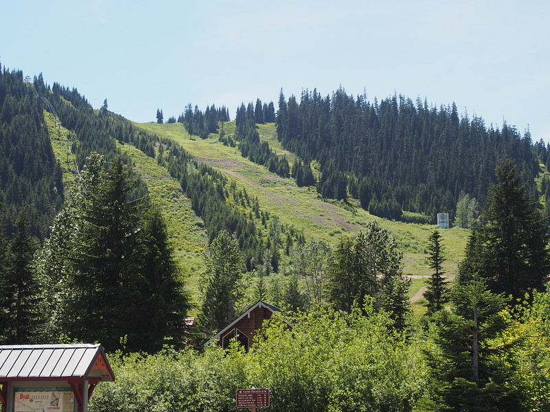 Green Ski Slopes