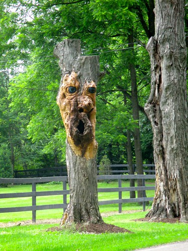 newyork face statue hole deadtree woodcarving gall gardencenter semiabstract apalachin wwnurserylandscaping dontcallhimanent
