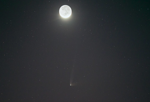Comet C/2014 Q1 PANSTARRS