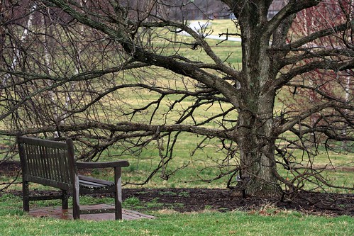 tree grass bench landscape lexington kentucky bestviewedlarge arboretum 100mm