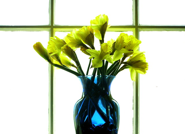 backlit vase