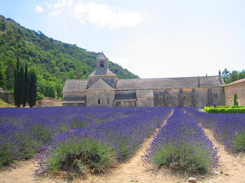 abbey of senanque