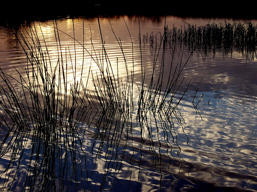 sunset lake nature water reflections lakeabilene