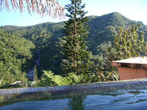 pool rainforest puertorico jungle elyunque jdallen casaflamboyant