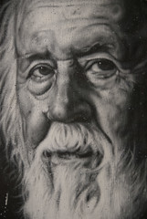 Hubert Reeves, painted portrait _DDC0036 - Photo of Champagne-au-Mont-d'Or