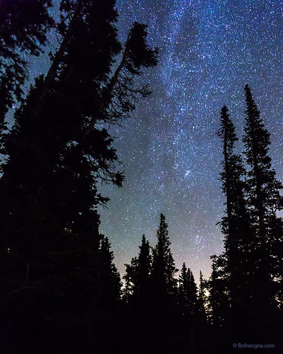 stars astrophotography night nighttime sky starry nature landscapes insogna colorado forest trees pinetrees ward unitedstates