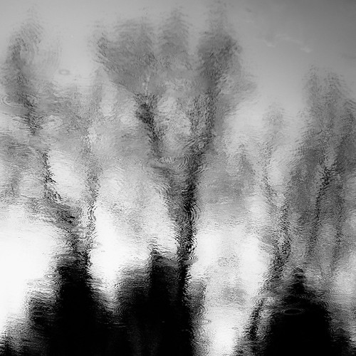 d5000 dof nikon abstract blackwhite blackandwhite blur bw forest landscape light monochrome natural noahbw pond rain raindrops reflection spring square trees water woods cloudsskiesandsuch