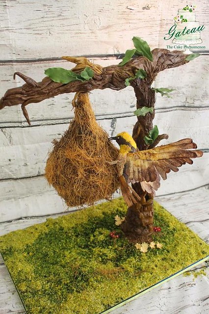Gravity Defying Weaver Bird Hanging Nest Cake by Faiza Sherjeel of Gateau: The Cake Phenomenon