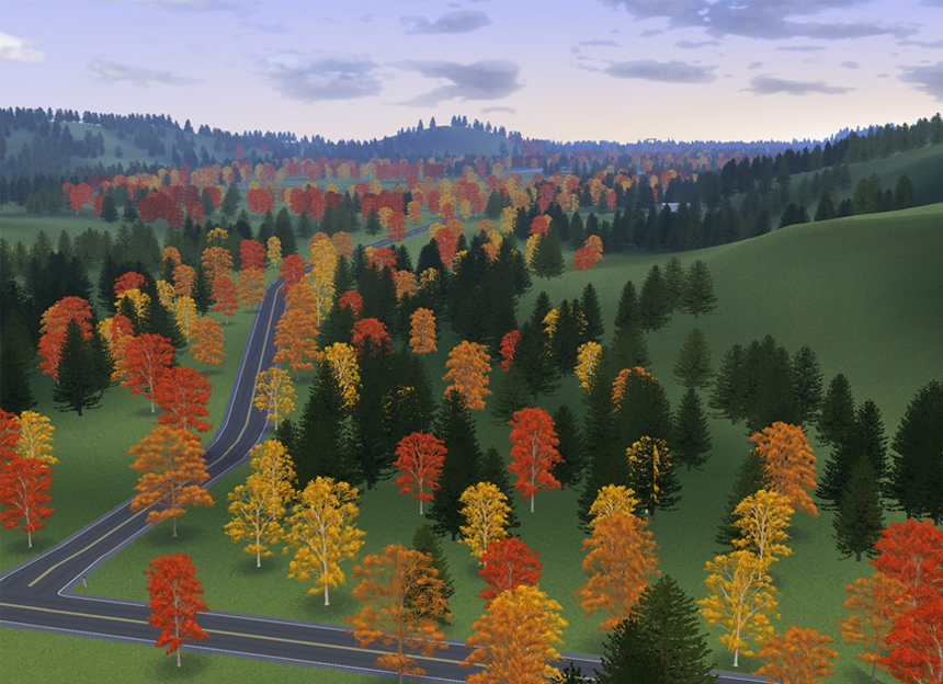 Forest Overview 03