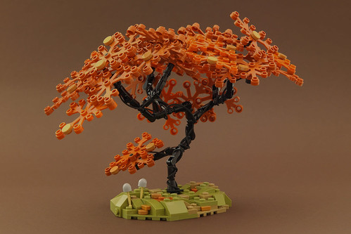 TheNewBlack - Autumn Tree