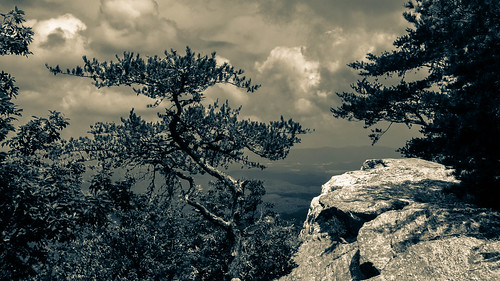 pine forest montagne landscape rocks cloudy alabama pins ciel paysage nuageux baldrock cheahastatepark forets mountcheaha tallagedanationalforest