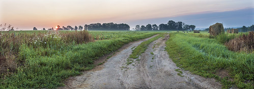 road morning summer sky panorama green field wisconsin sunrise canon landscape farm trail hay wi soybeans