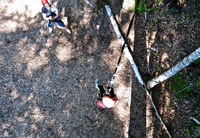 40 feet drop from a tree arbortrek smugglers notch	